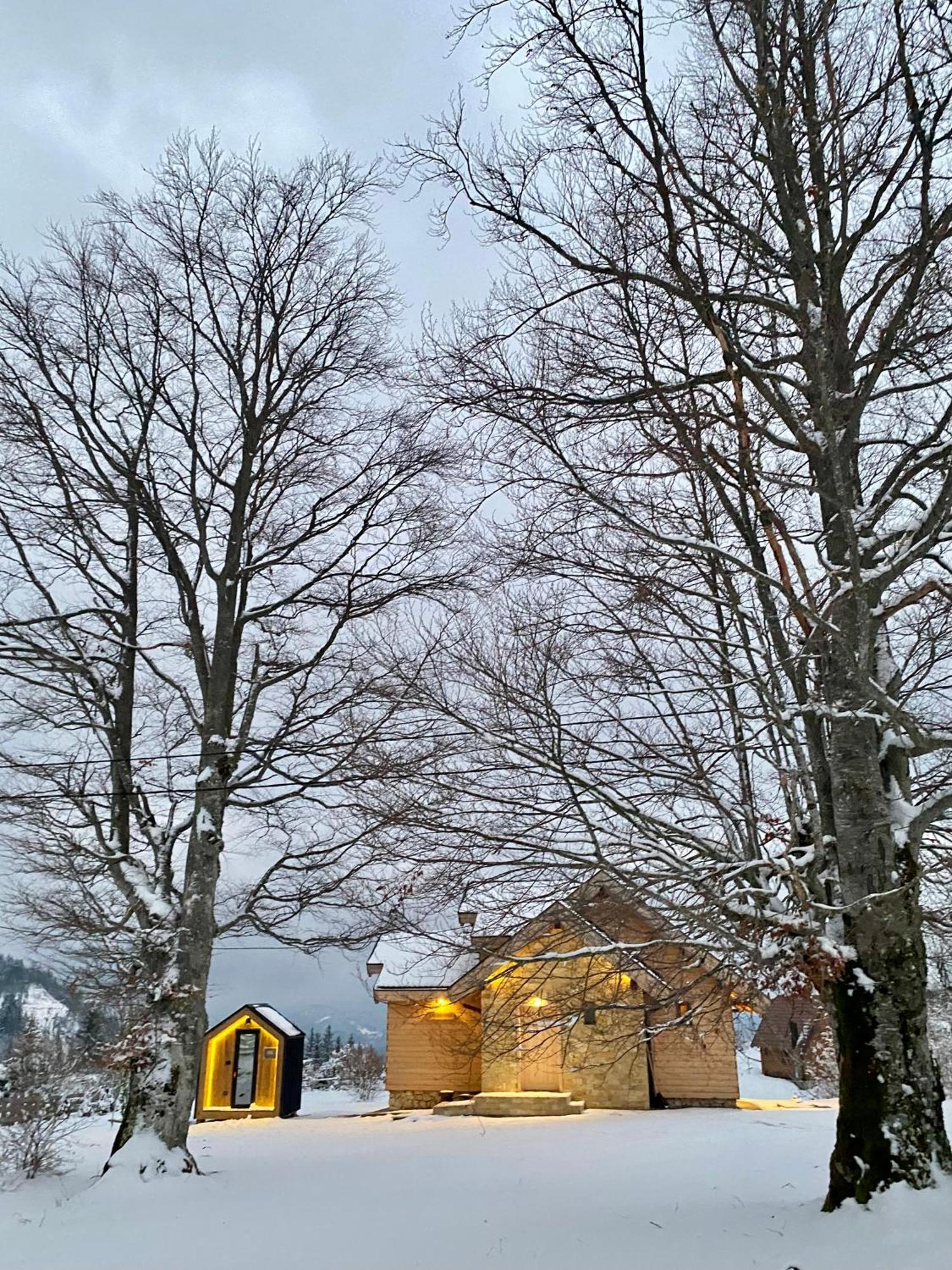 Vila Planinska Koliba Exclusive Sekulic Exteriér fotografie