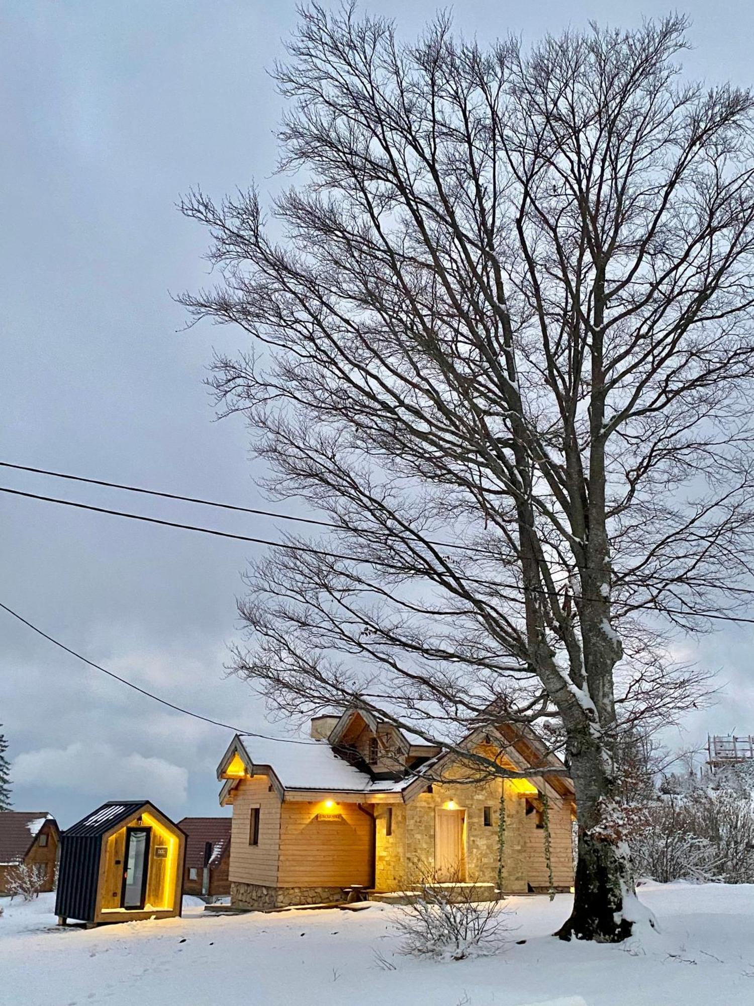 Vila Planinska Koliba Exclusive Sekulic Exteriér fotografie